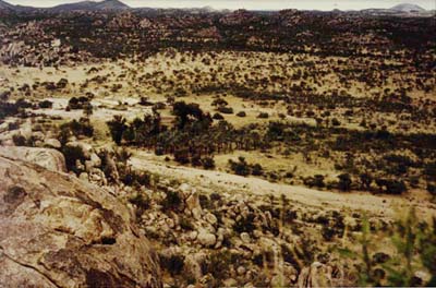 View of the landscape around the farm