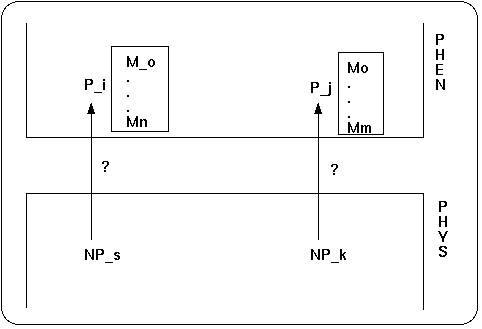 Different domains of phenomena and physiological events