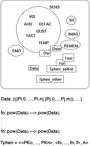 Elements of a formal  phenomenological Theory